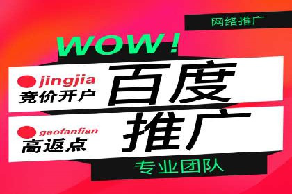 竞价开户推广案例实战案例分析